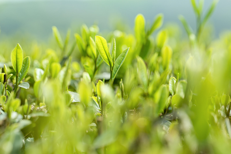 輿情危機事件的防范怎么做？輿情預警軟件/系統解決辦法