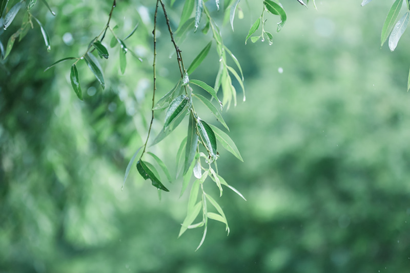 輿情監測分析平臺需求??